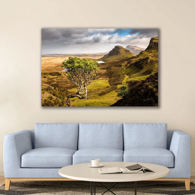 Quiraing Tree – Scottish Highlands Canvas Print Canvas Prints