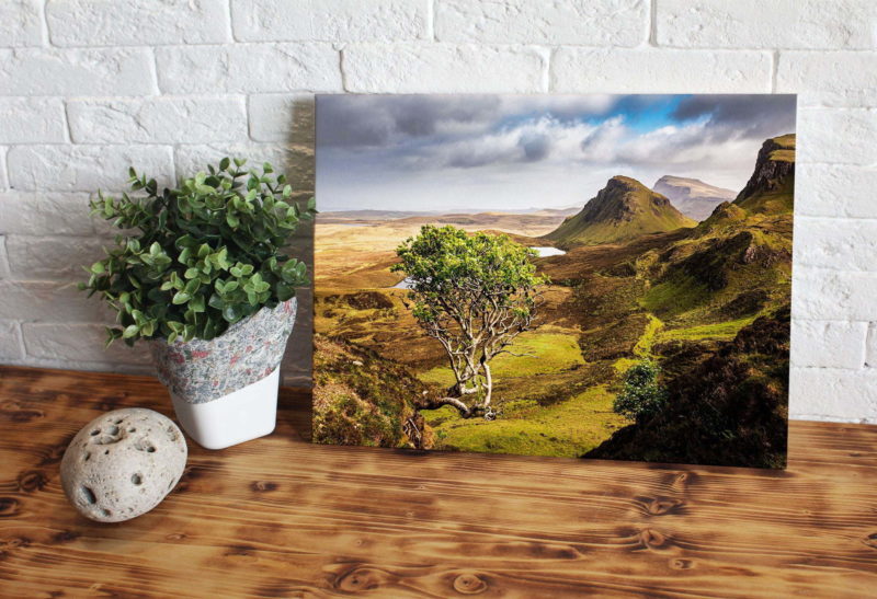 Quiraing Tree – Scottish Highlands Canvas Print Canvas Prints